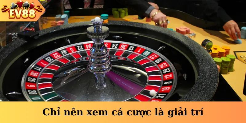 Chỉ nên xem cá cược là giải trí