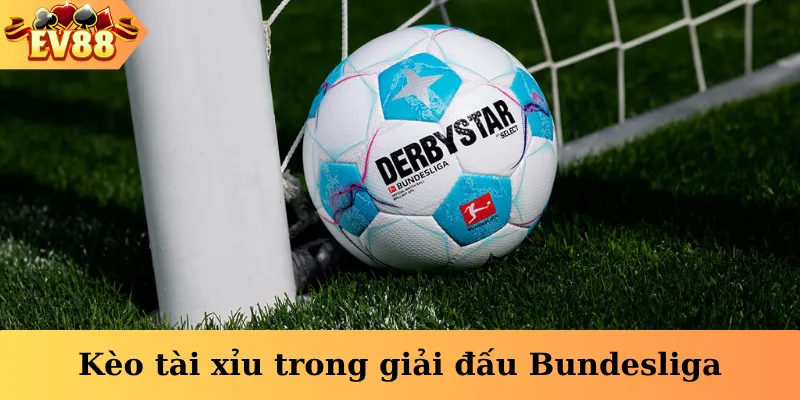 Kèo tài xỉu trong giải đấu Bundesliga
