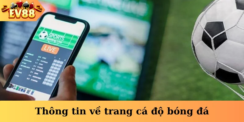Thông tin về trang cá độ bóng đá